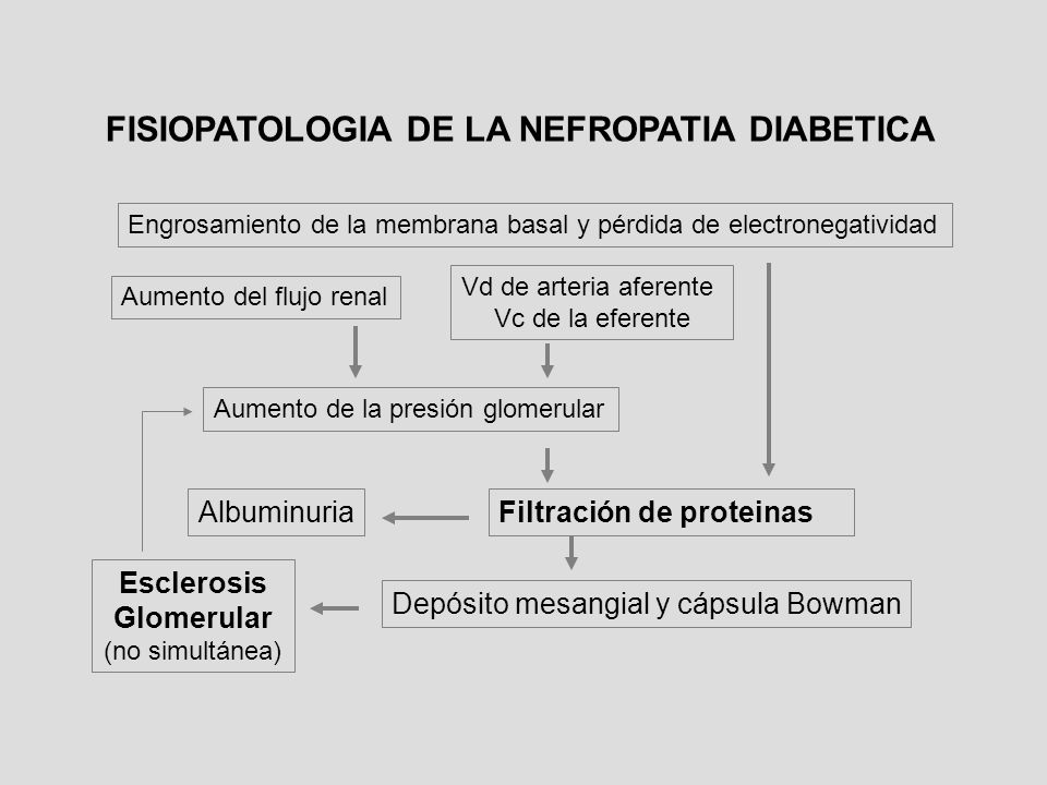 retinopatía diabetes fisiopatología powerpoint